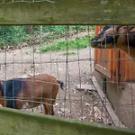 Charming Manheim Cottage With On-Site Animal Viewing