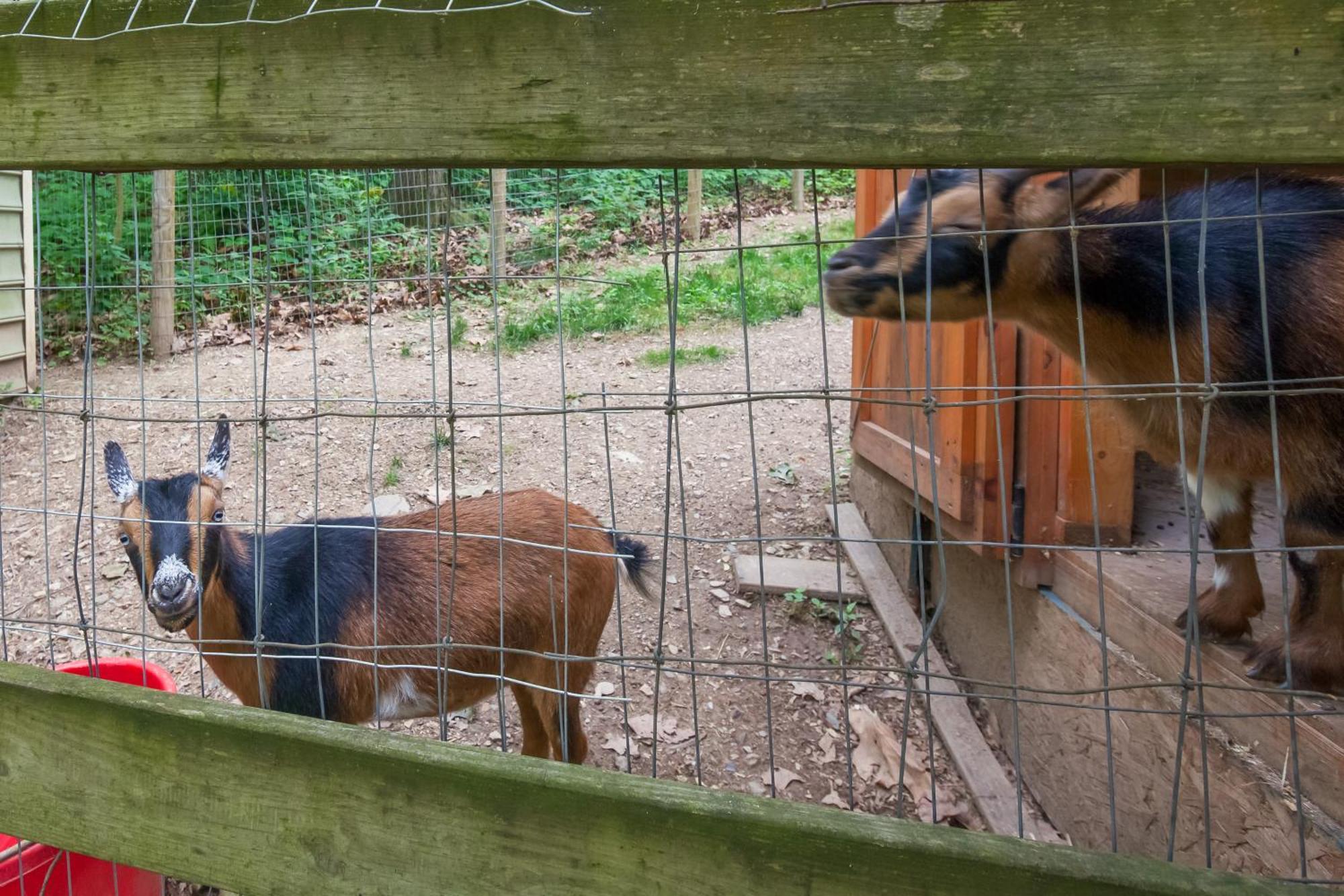 Holiday home Charming With On-site Animal Viewing *