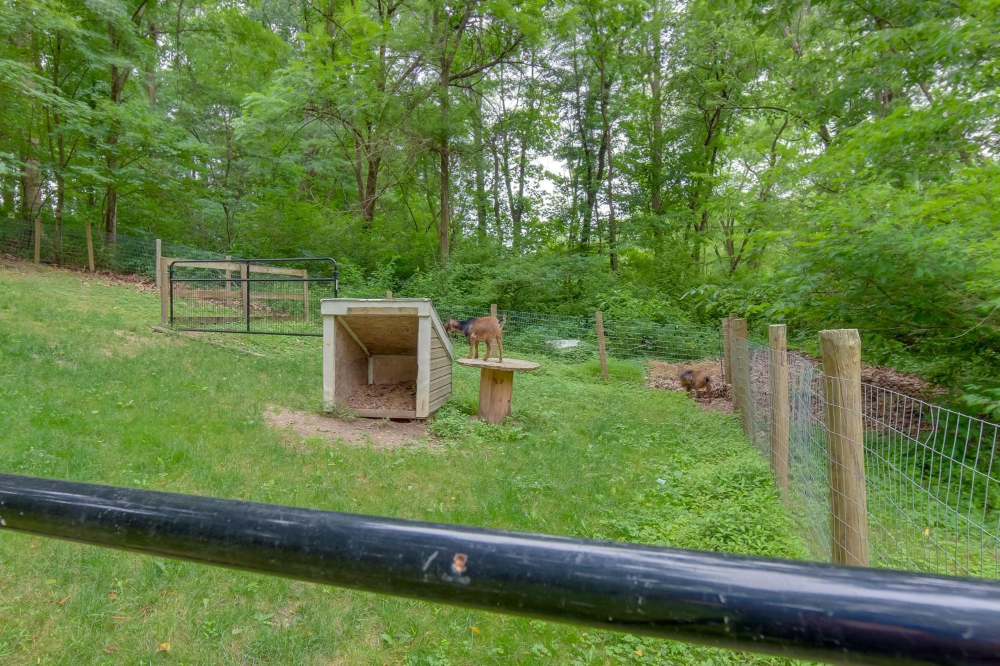 Charming With On-site Animal Viewing *